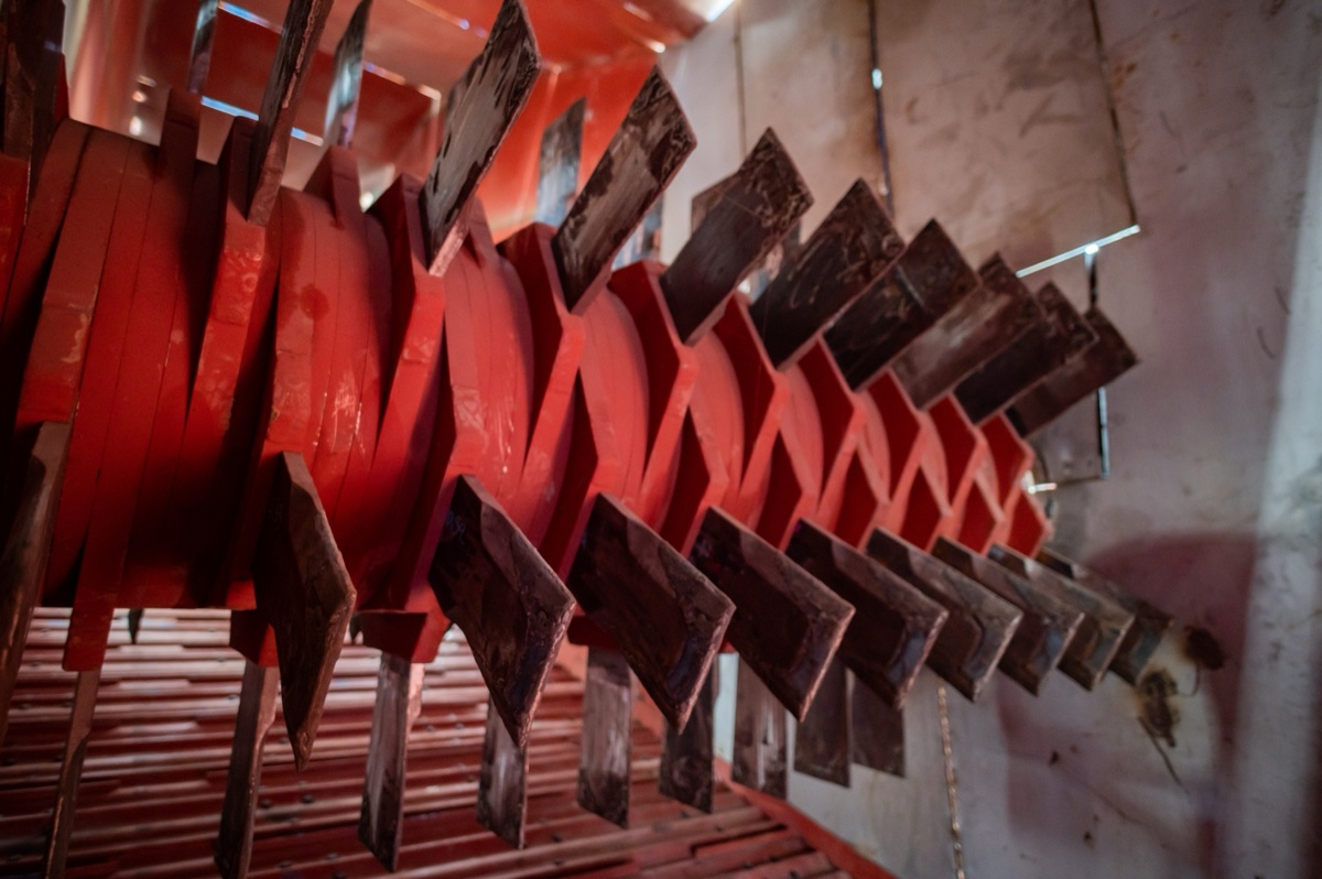 Cane Cutter